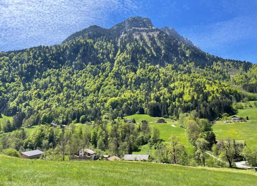 Le Chalet Des Reves - La Roche Blanche Entremont エクステリア 写真